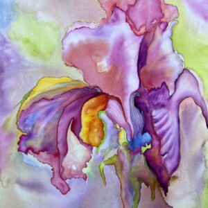 Iris