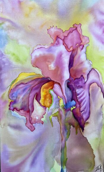Iris