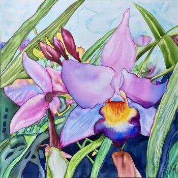 Orchid